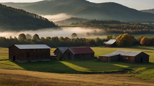 How Climate Impacts Whiskey Around the World